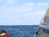 gedser-cup-2011-exocet-2